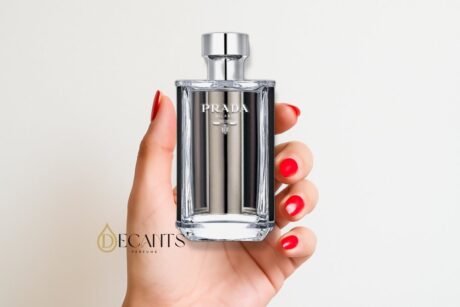 L’Homme Prada